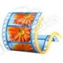 Windows Live Movie Maker