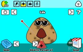 Pou