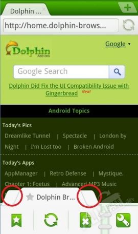 Dolphin browser mini 