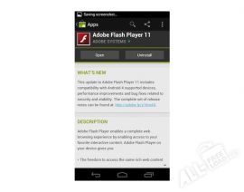 Adobe Flash Player 