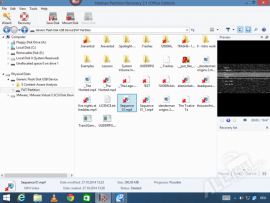 Hetman Partition Recovery