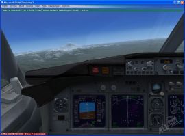 Microsoft Flight Simulator