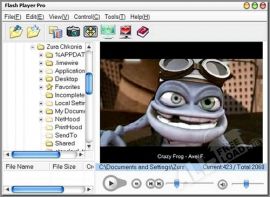 Macromedia Flash Player