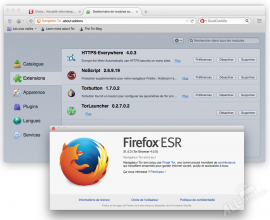 Firefox ESR