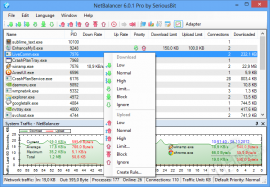 NetBalancer 