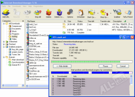 Internet Download Manager 