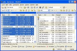 WinSCP