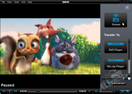 DivX Player