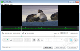 Free Video Editor 