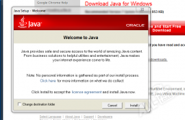 Java Runtime Environment