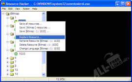 Resource Hacker 